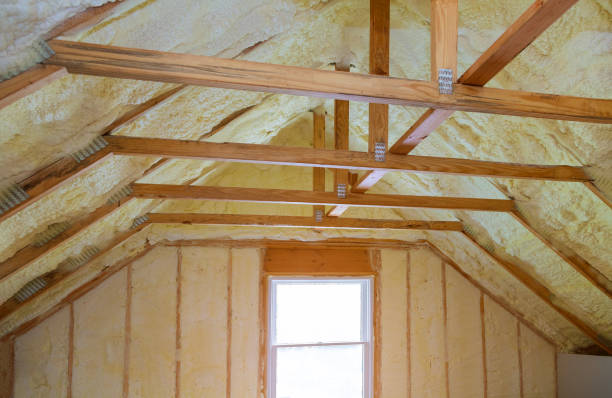 Best Geographic-Specific Insulation Services in Kosciusko, MS