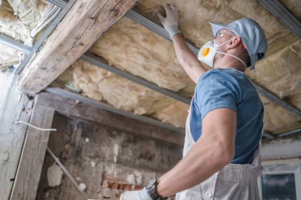 Best Cellulose Insulation in Kosciusko, MS
