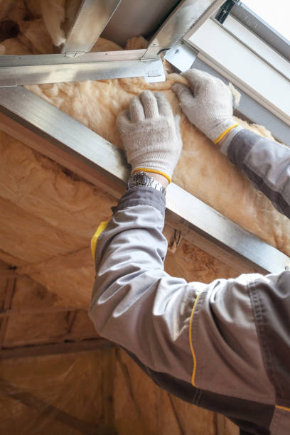Best Residential Insulation in Kosciusko, MS