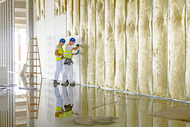 Best Geographic-Specific Insulation Services in Kosciusko, MS